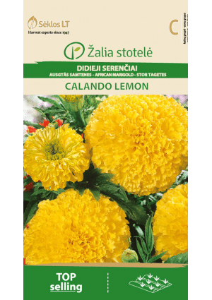 Büdöske Calando Lemon Z.S SL