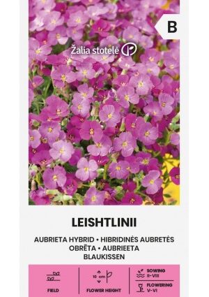 Pázsitviola LEISHTLINII Z.S SL