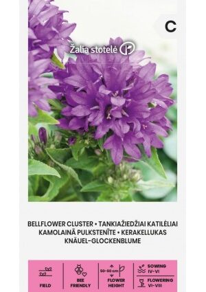 Csomós harangvirág Z.S SL