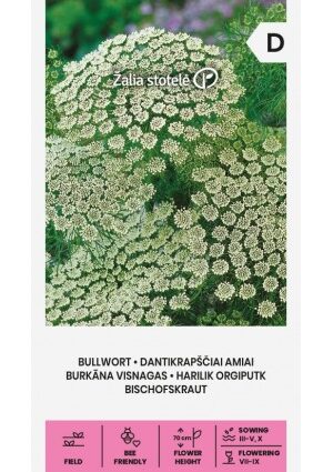 Fogpiszkálófű  Bullwort Z.S SL