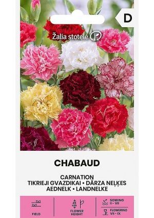 Kerti szegfű Chabaud Z.S SL