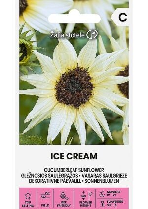 Dísznapraforgó Ice Cream Z.S SL