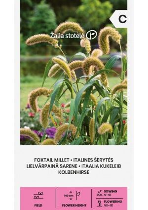 Olasz muhar Foxtail Millet Z.S SL