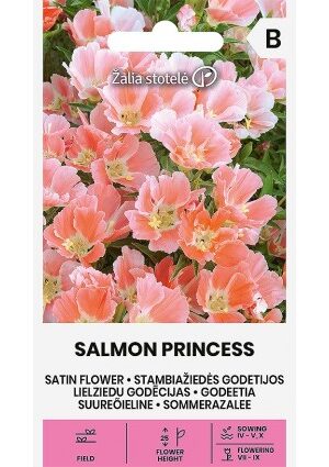 Tündérkürt nagyvirágú (Nyári azálea) Salmon Princess Z.S SL