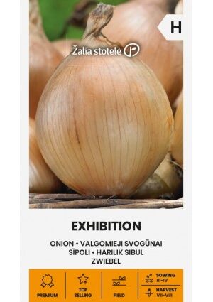 Hagyma Exhibition Z.S SL