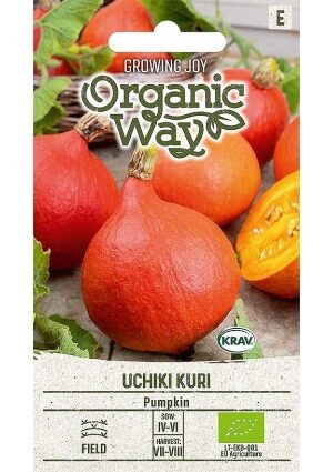 Sütőtök UCHIKI KURI OW SL