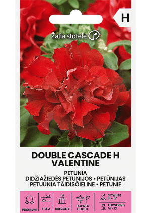 Petunia DOUBLE CASCADE  VALENTINE Hibrid Z.S SL