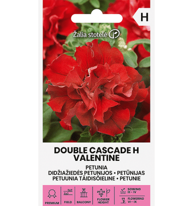 Petunia DOUBLE CASCADE VALENTINE Hibrid Z.S SL