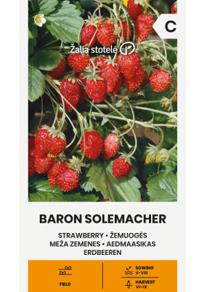 Szamóca Baron Solemacher Z.S SL