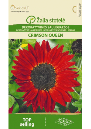 Dísznapraforgó CRIMSON QUEEN Z.S SL