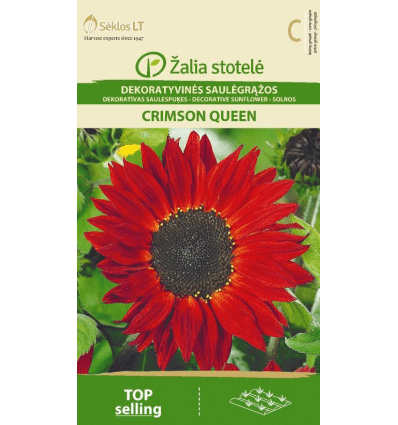 Dísznapraforgó CRIMSON QUEEN Z.S SL