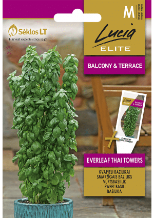 Thai bazsalikom ELN SL