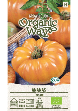 Paradicsom Ananas OW SL