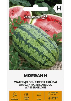 Görögdinnye Morgan Hibrid Z.S SL