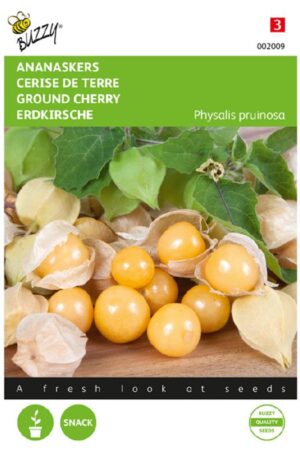 Perui földi-cseresznye Bz H