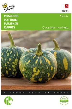 Sütőtök Asterix Bz H