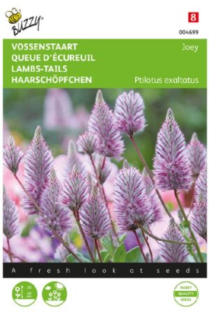 Rózsaszín Mula-mula Joey Bz H