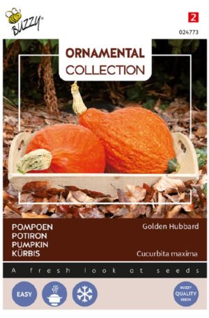 Sütőtök Golden Hubbard Ornamental Collection Bz H