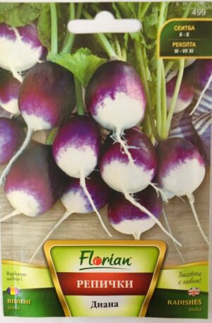 Retek Diana Florian Bg