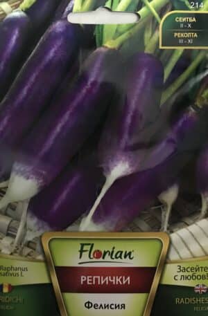 Retek Felicia Florian Bg