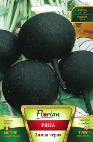 Retek téli fekete Zimna cherna Florian Bg