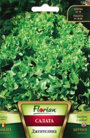 Saláta Gentilina Florian Bg