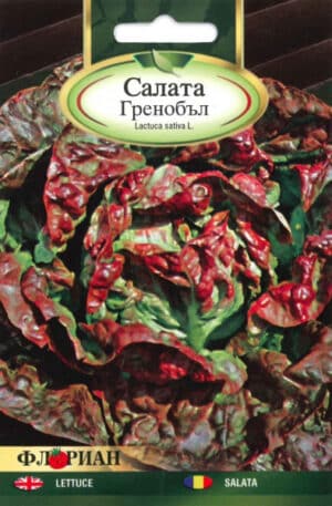 Saláta Grenoble Florian Bg