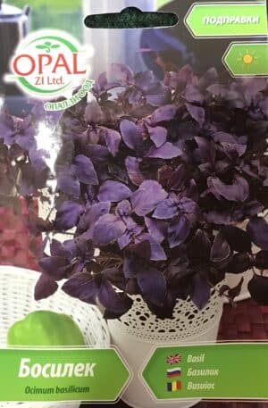 Bazsalikom Dark Opal Bg