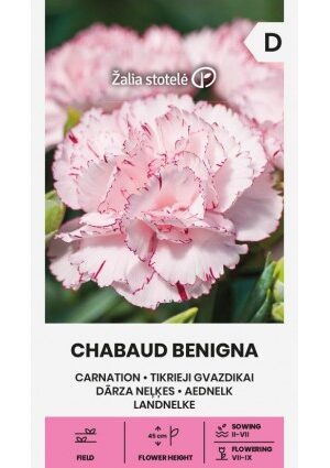 Kerti szegfű CHABAUD BENIGNA Z.S SL