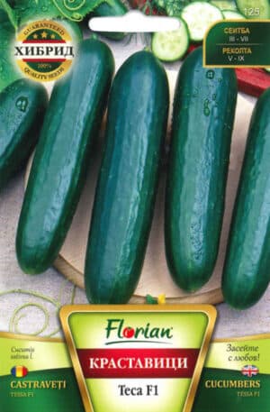 Uborka Tessa F1 Florian Bg