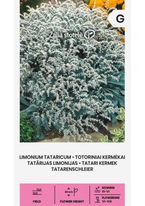 Tatár sóvirág Limonium Tataricum Z.S SL