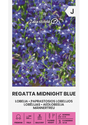 Lóbélia Regatta MIDNGHT BLUE Z.S SL