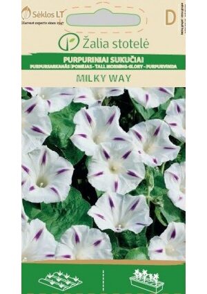 Kerti Hajnalka Milky Way Z.S SL