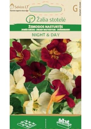 Sarkantyúka Night Day Z.S SL