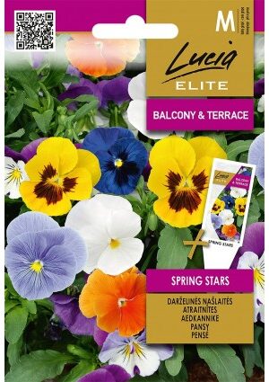 Árvácska Spring Stars ELN SL