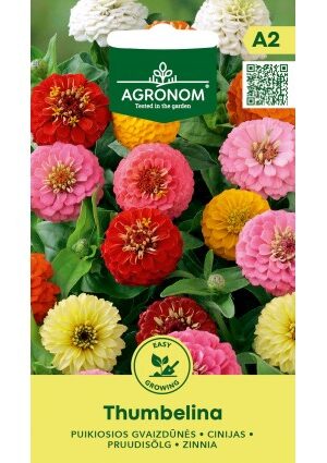 Rézvirág Thumbelina AGR SL