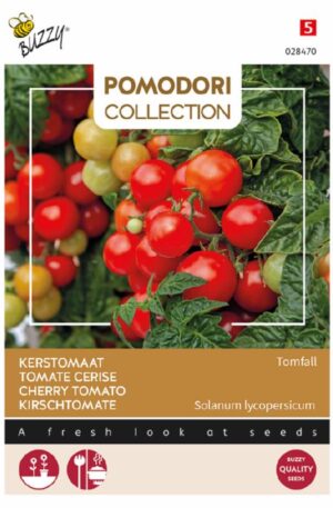 Paradicsom Tomfall Pomodori Collection Bz H
