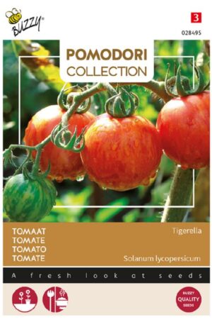 Paradicsom Tigerella Pomodori Collection Bz H