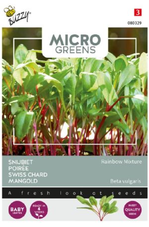 Mángold Rainbow Mixture Micro Greens Bz H