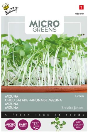Japán kel Mizuna Micro Greens Bz H