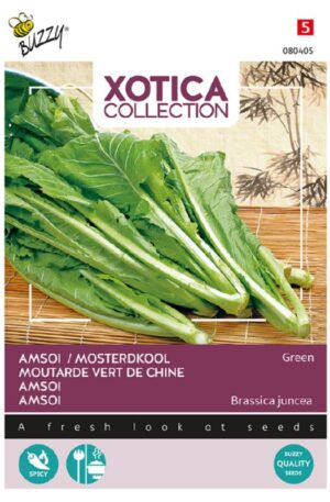 Szareptai mustár Amsoi Zöld Xotica Bz H