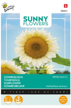 Dísznapraforgó White Sun F1 Sunny Flowers Bz H