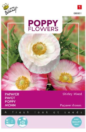 Díszpipacs Shirley mixed Poppy Flowers Bz H
