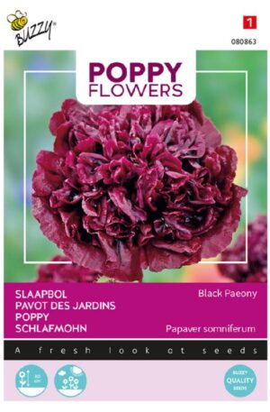 Díszpipacs Black Paeony Poppy Flowers Bz H