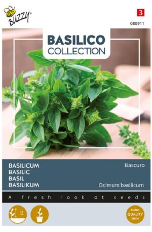 Bazsalikom Bascuro Basilico Collection Bz H