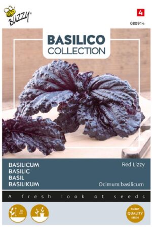 Bazsalikom Red Lettuce-leaved Basilico Collection Bz H
