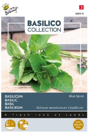 Bazsalikom Blue Spice Basilico Collection Bz H