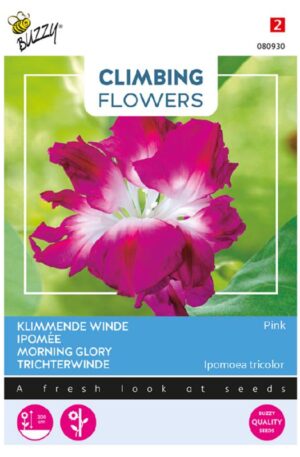 Hajnalka Dubbel Rose Pink Climbing Flowers Bz H