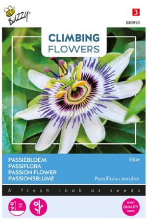 Golgotavirág Blue Climbing Flowers Bz H