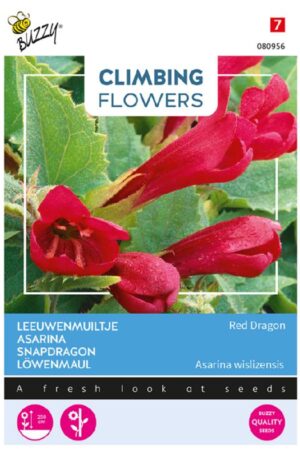 Futó oroszlánszáj Red Dragon Climbing Flowers Bz H